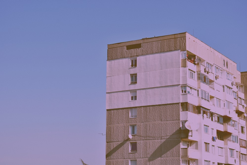 white and brown building