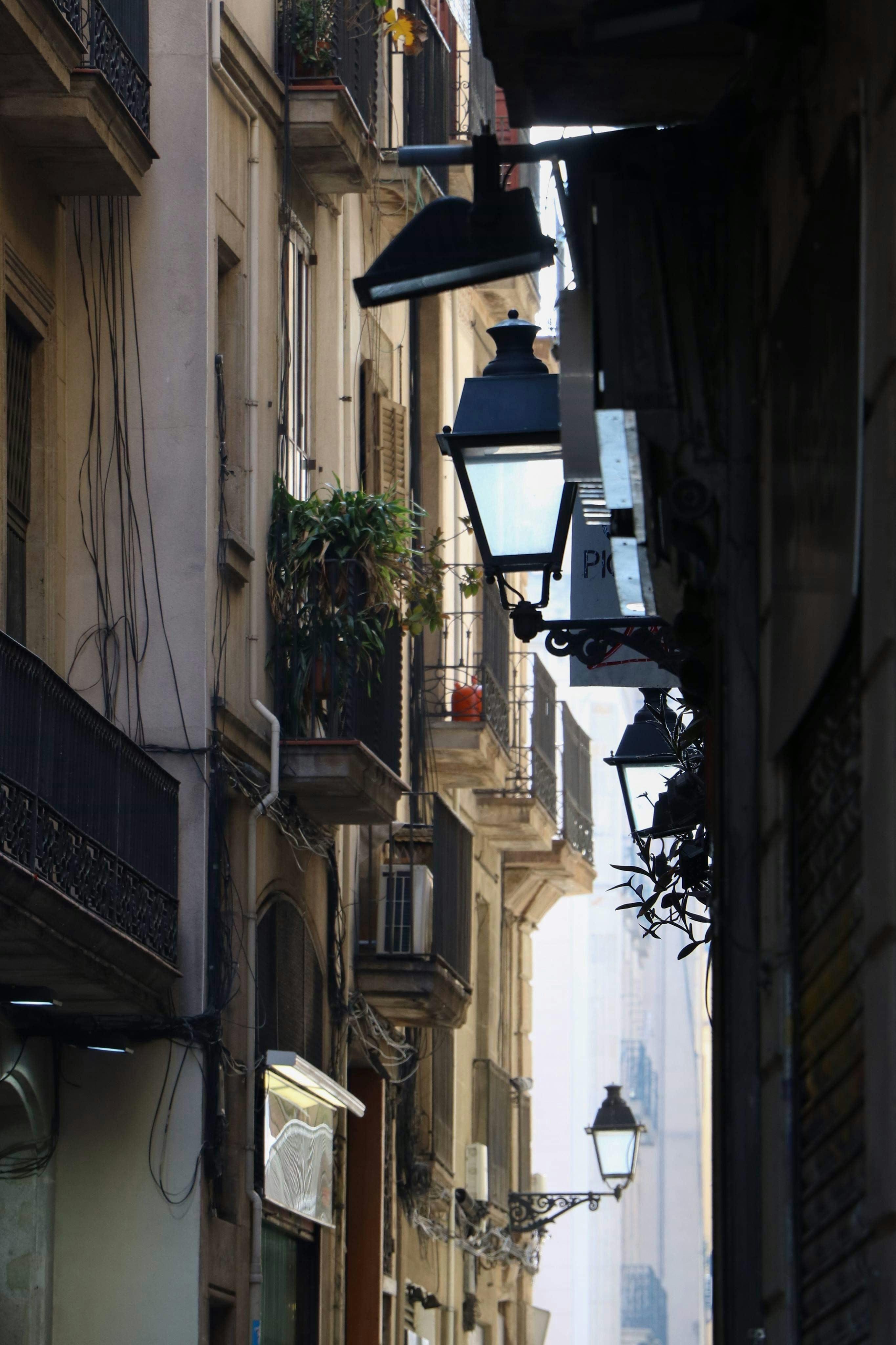 Photo by artphotographybyyanette