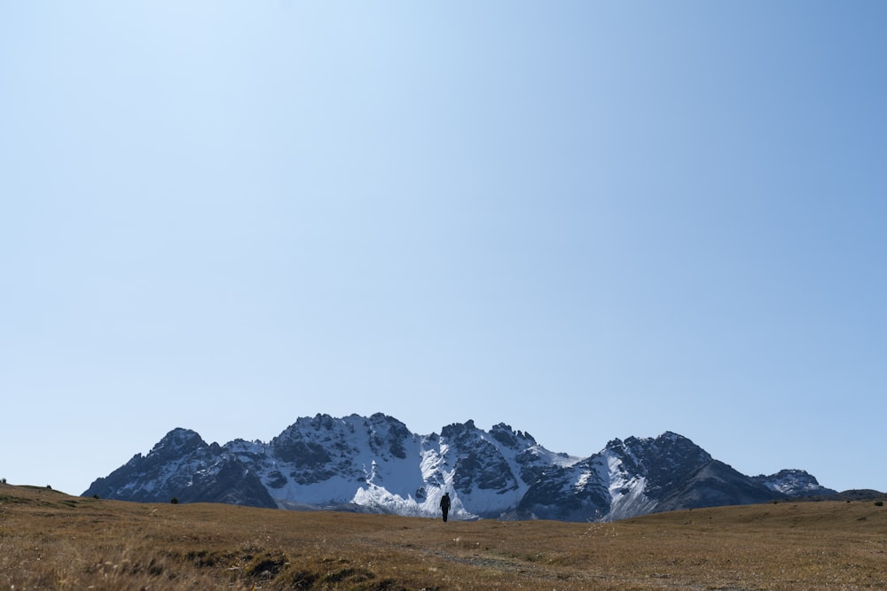 a person standing in a field with mountains in the background