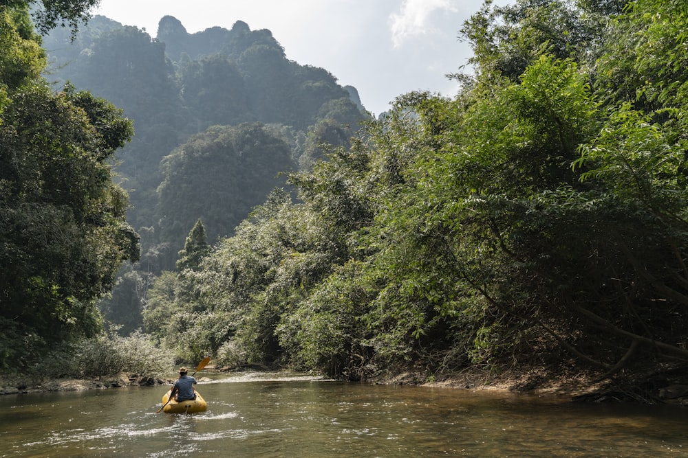 man paddling on boat on body of water between trees