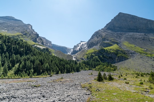 rocky and tree covered field near mountains during day in Val Müstair Switzerland