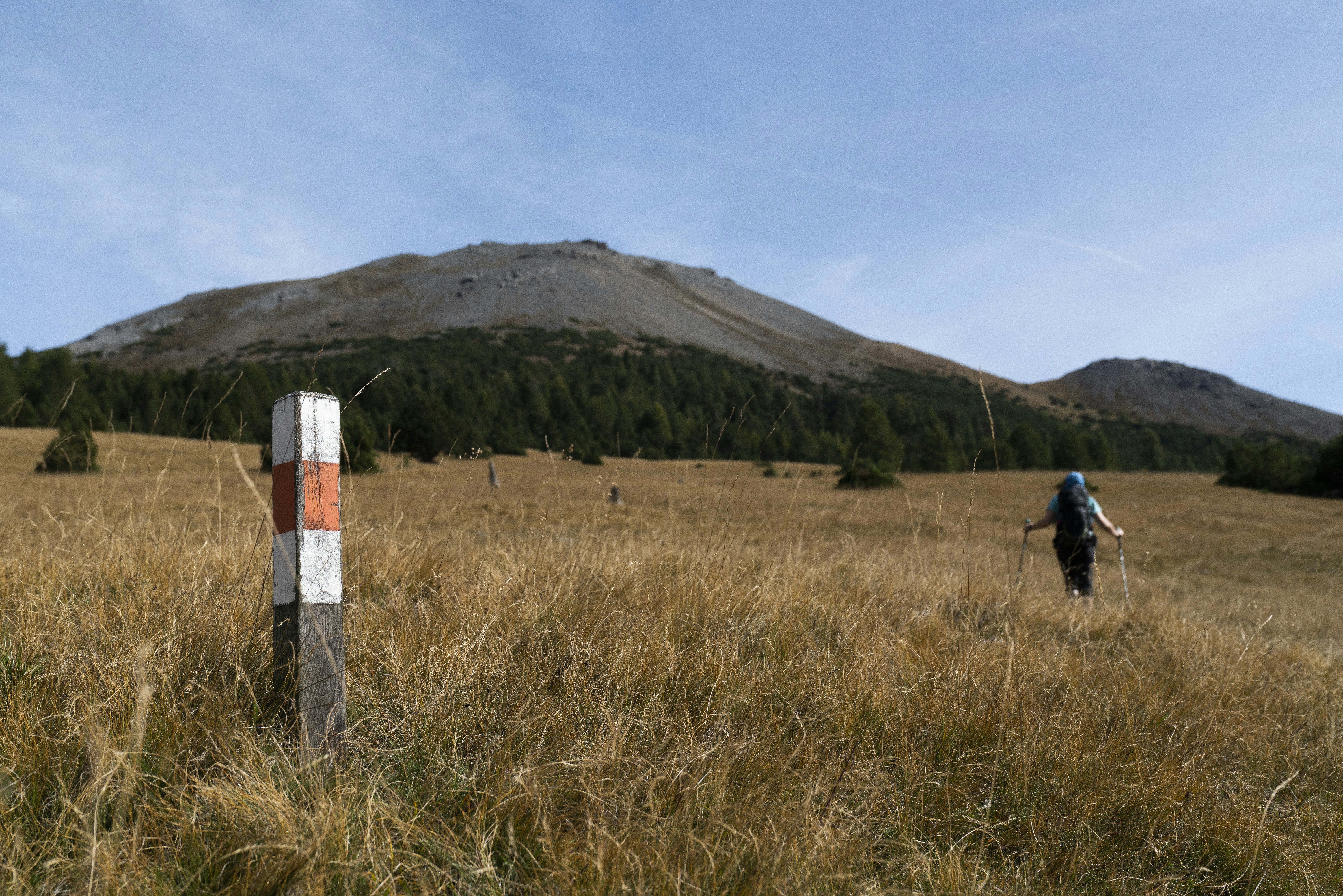 trekker on slope near forest during daytime