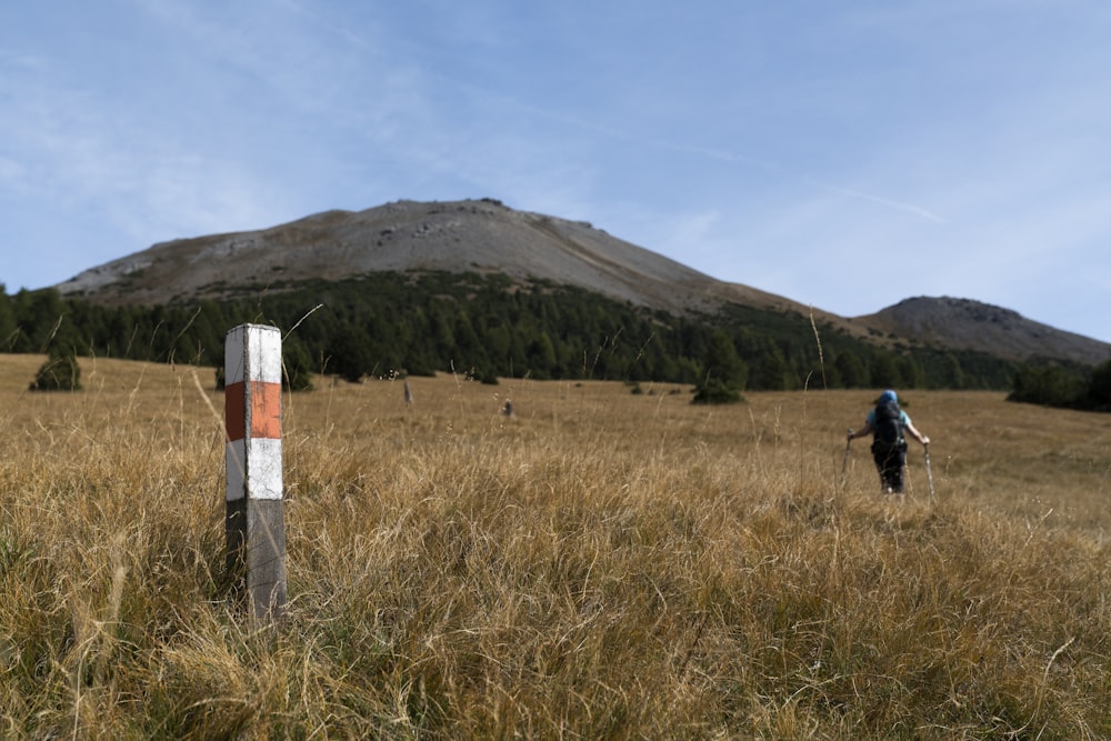 trekker on slope near forest during daytime