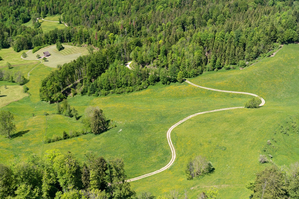 green trees on aerial photography