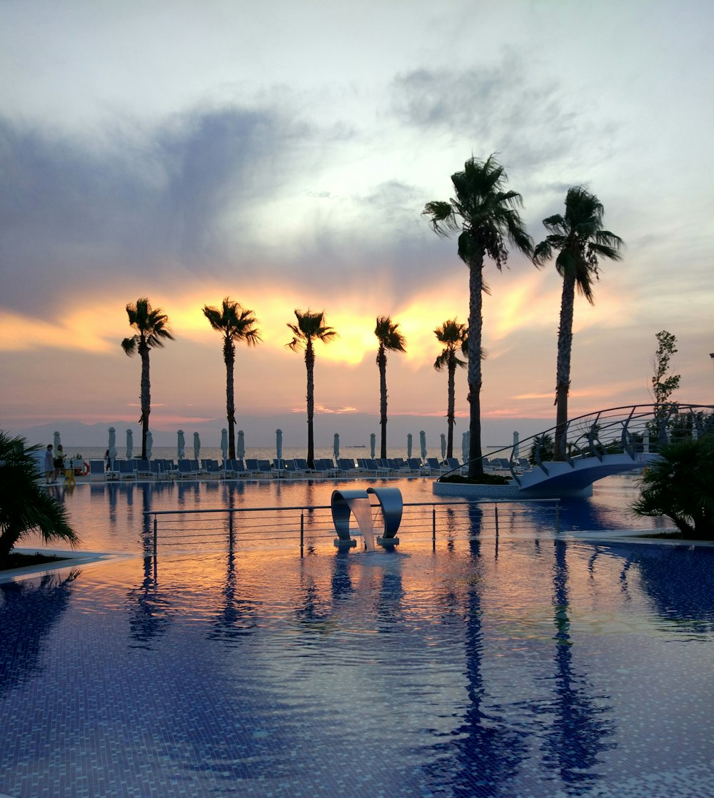 calm body of water near palm trees during golden hour