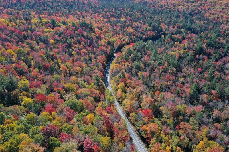 A New Hampshire road winding through peak fall foliage, the kind of drive a properly covered rental is for