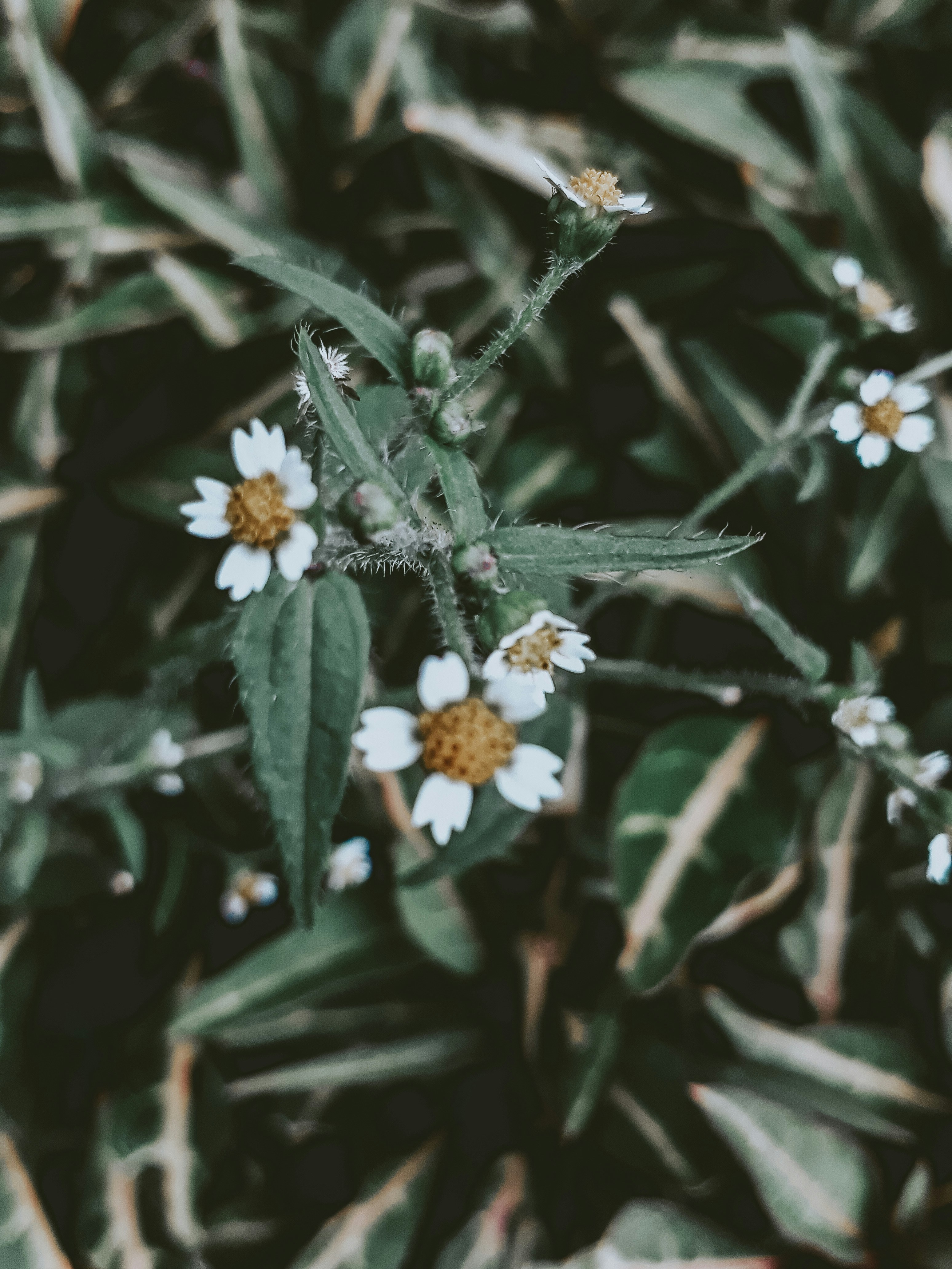 Photo by sikdop