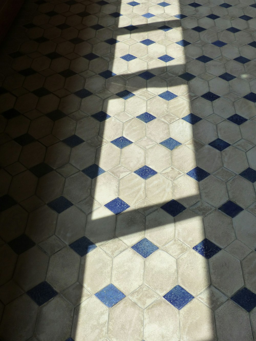 白と青のタイル張�りの床