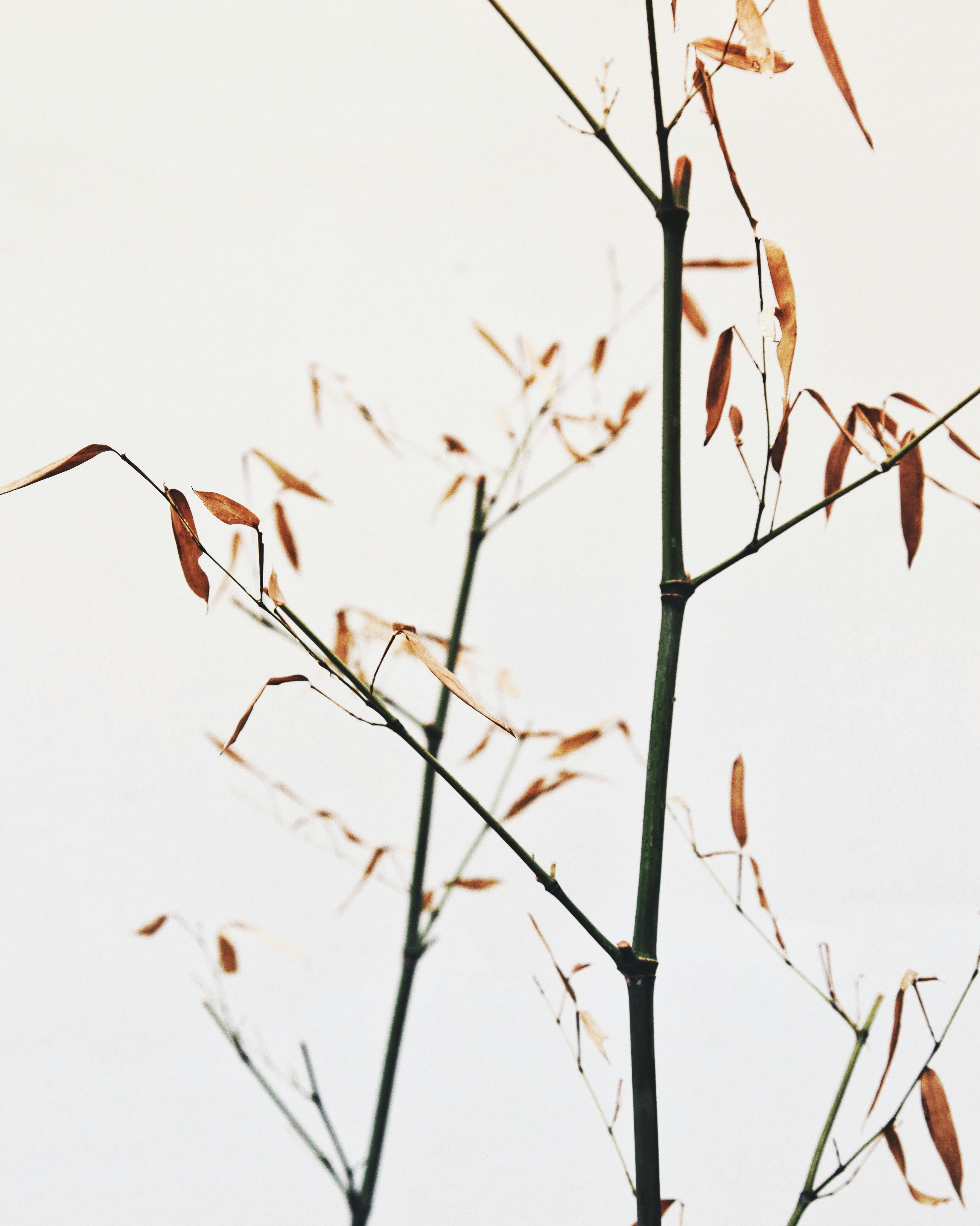 Photo by jasmineyutf