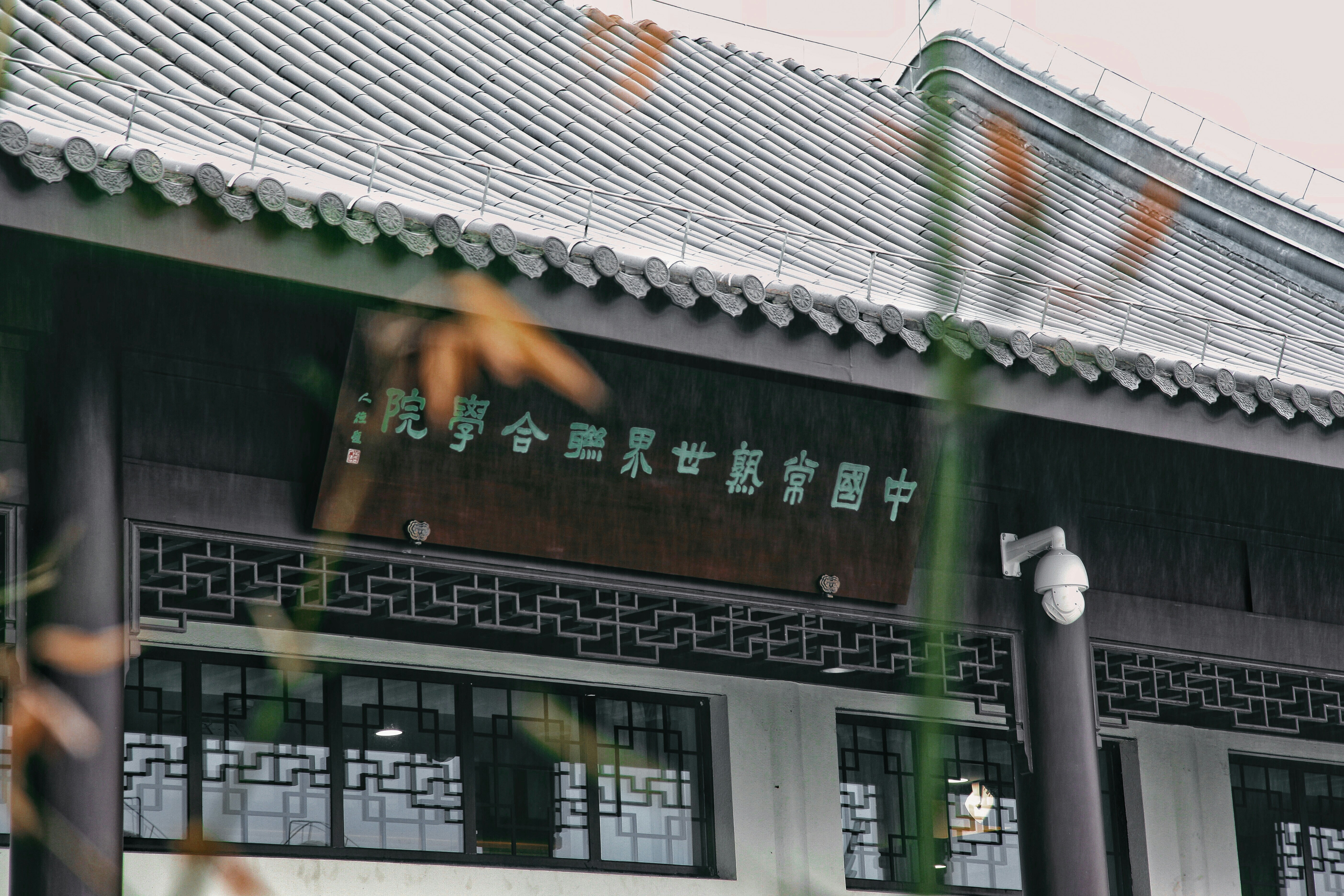 Photo by jasmineyutf