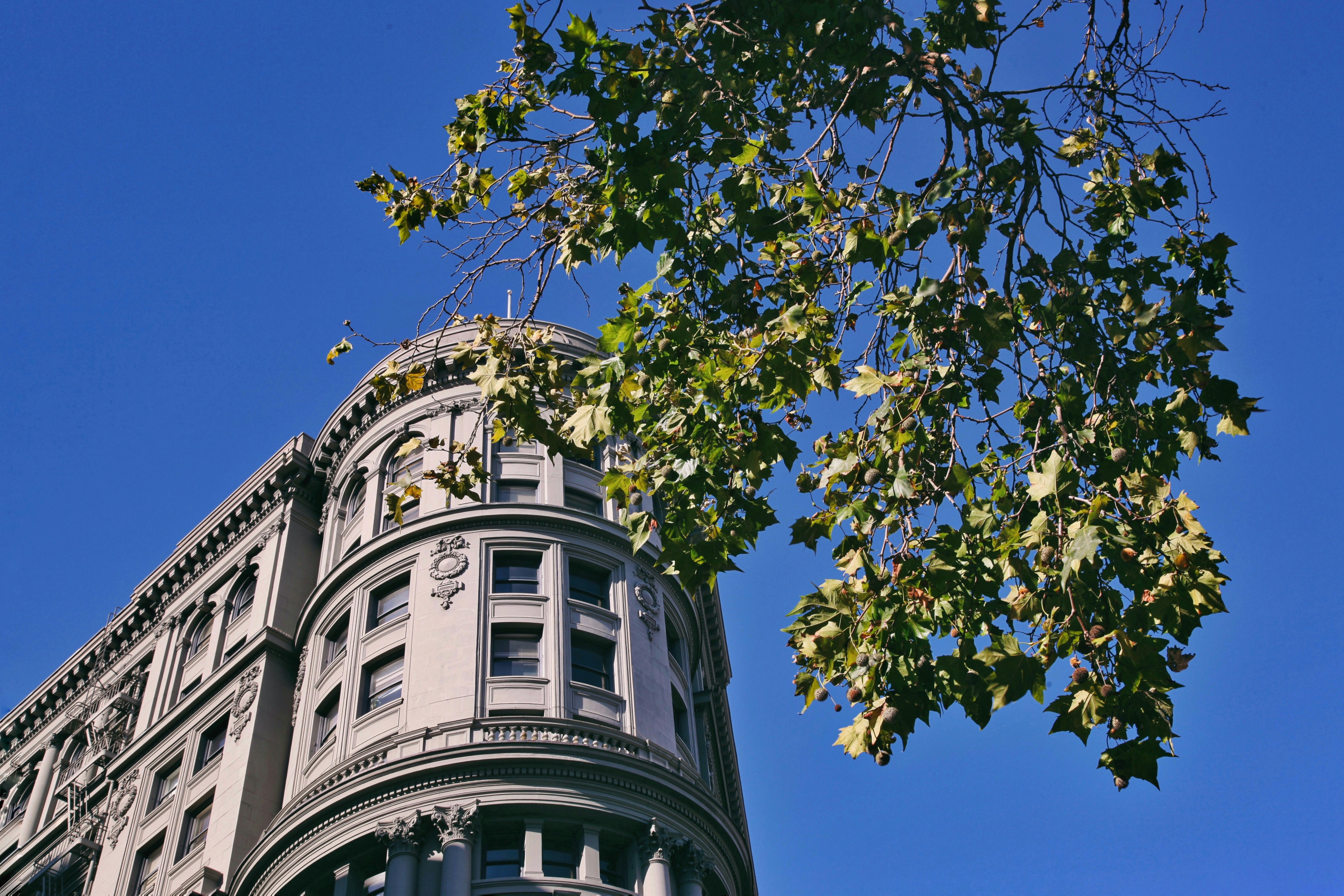 Photo by jasmineyutf