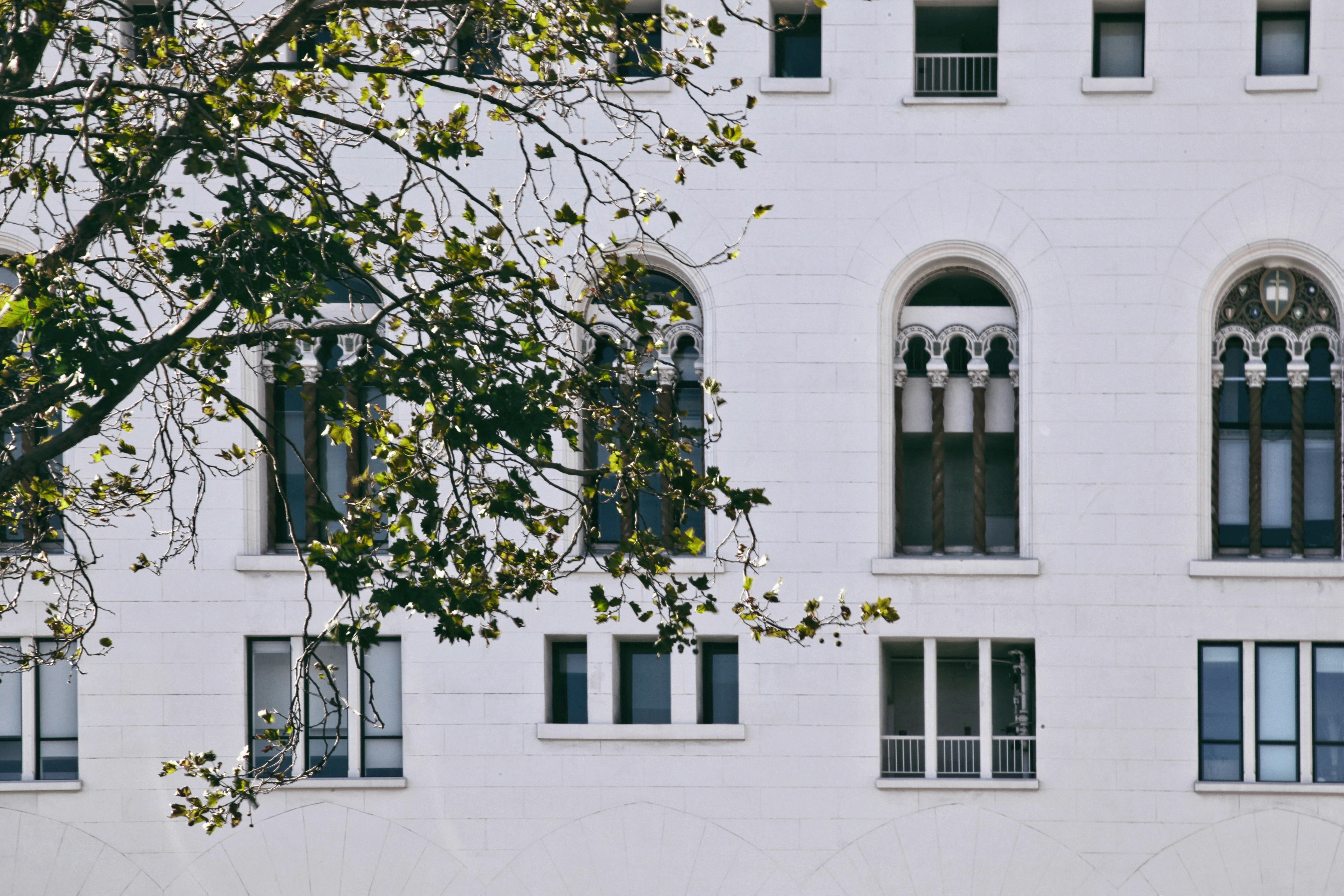 Photo by jasmineyutf