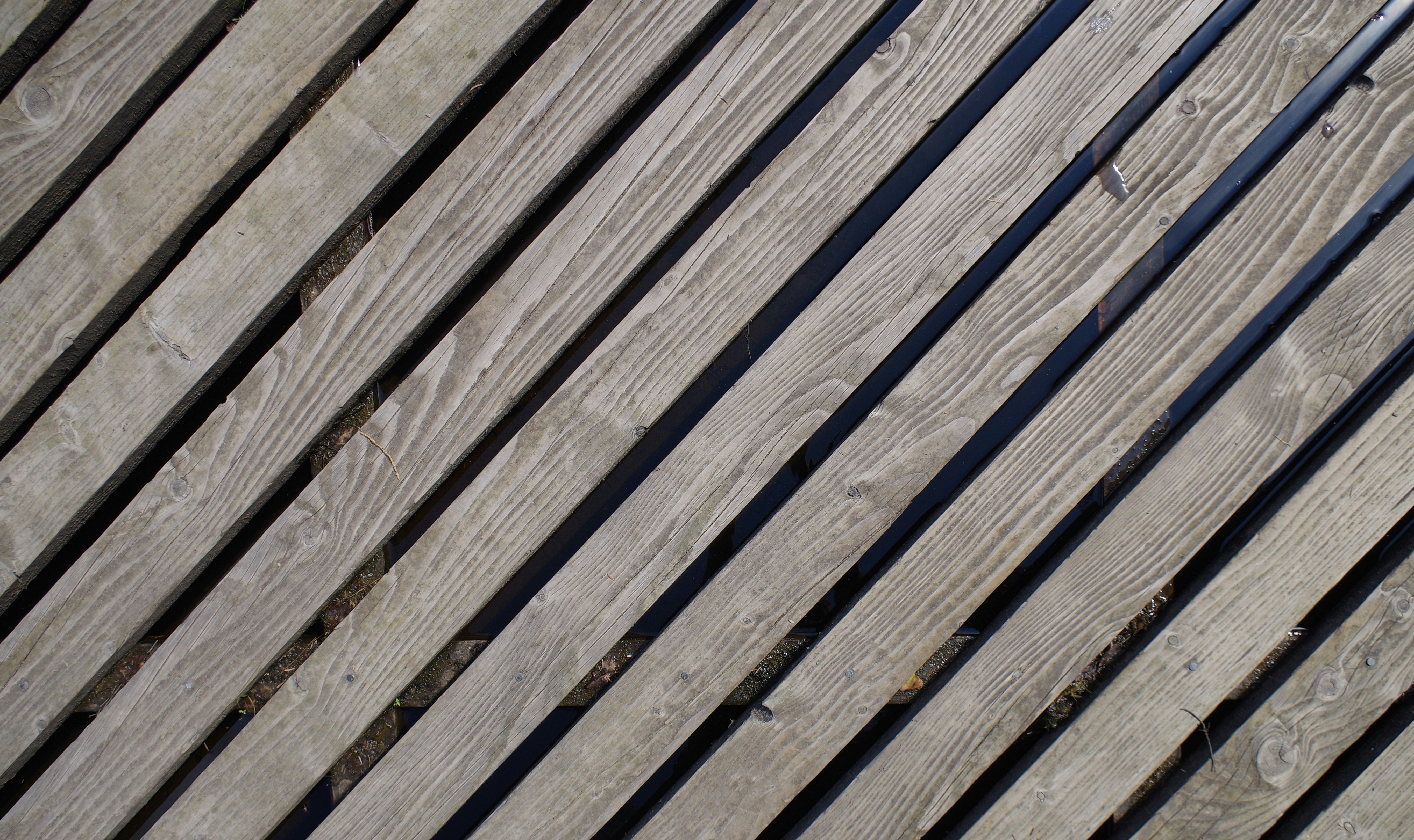 Photo by jackbell2256