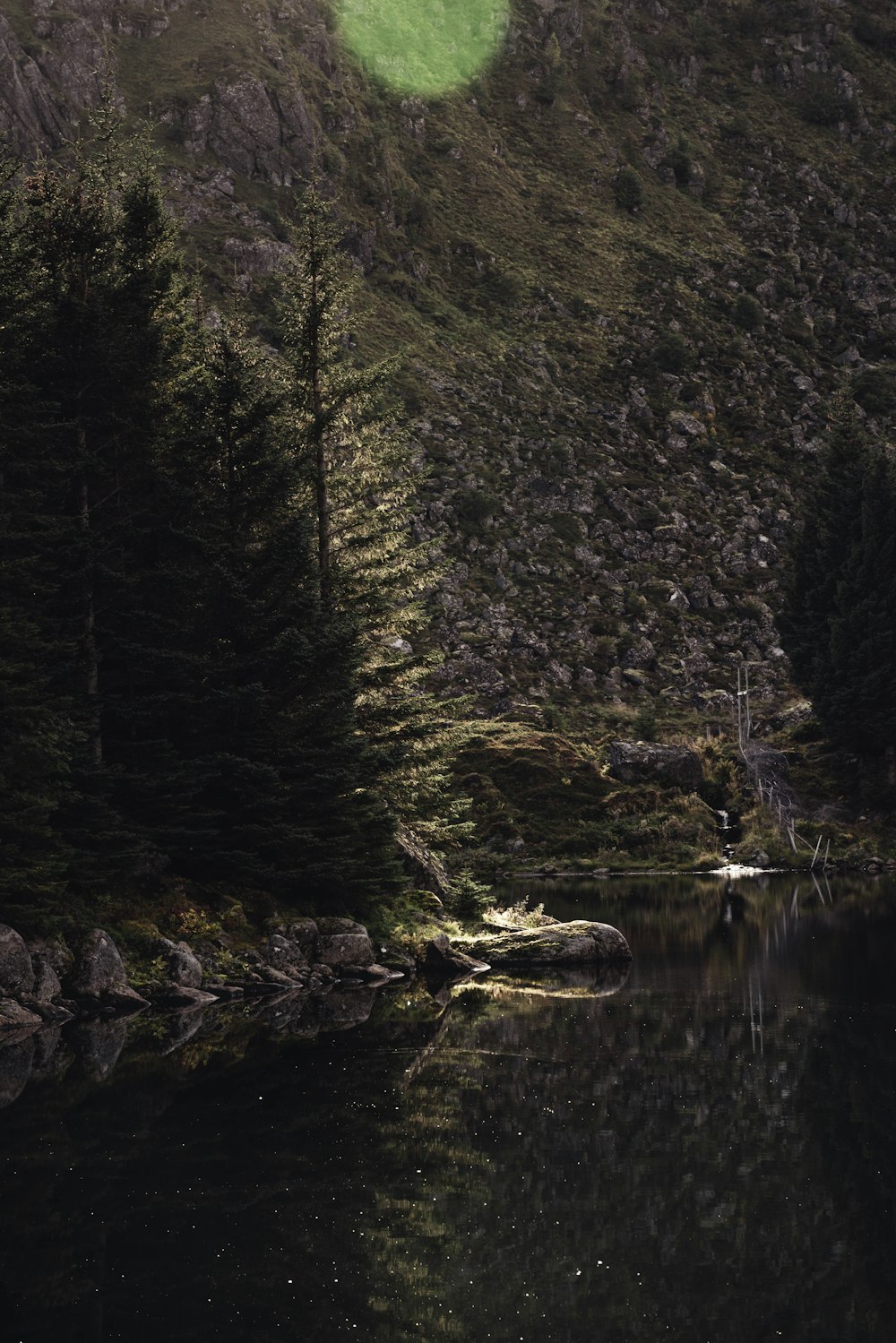 calm body of water by tree on mountain slope