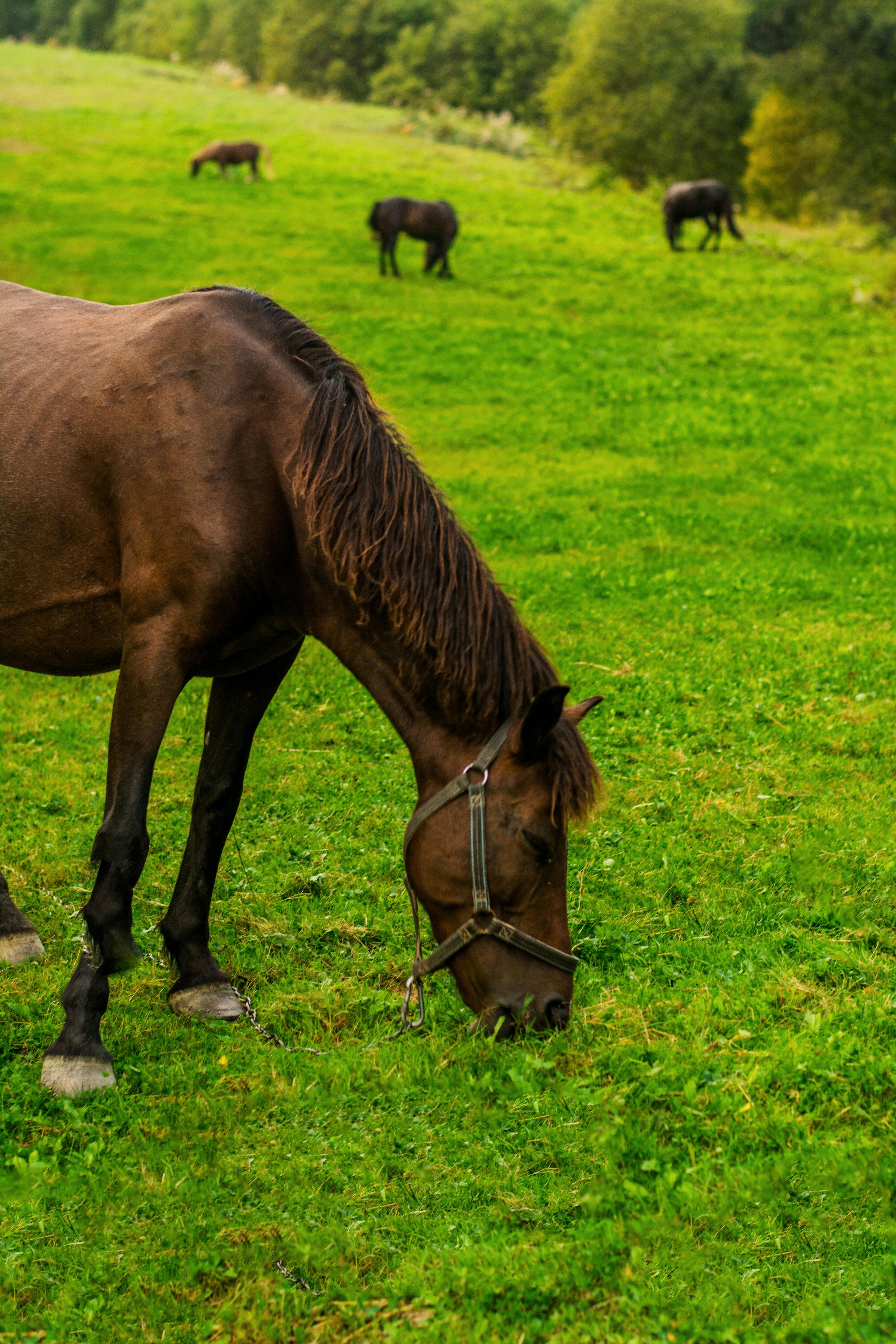 Photo by eugenivy_now