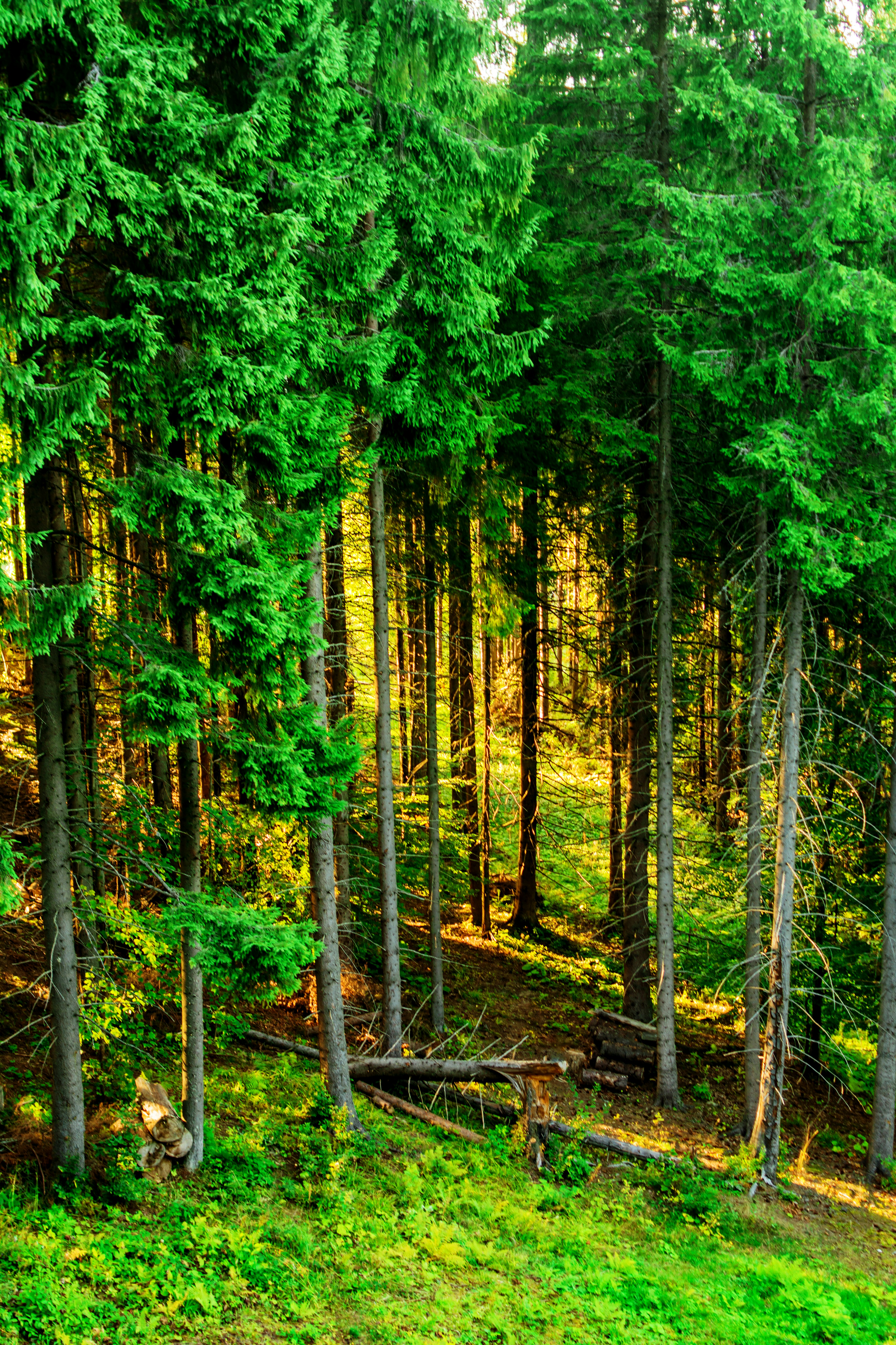 Photo by eugenivy_now