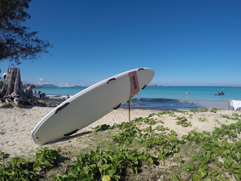 white surfboard on rack