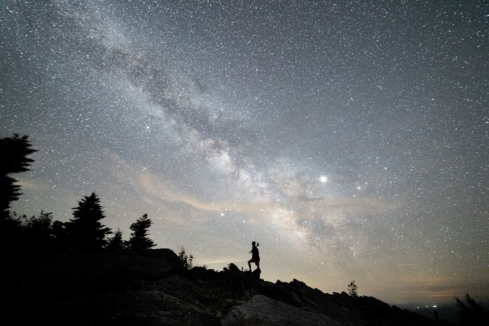 gray and brown milky way