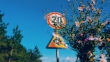 A calming roadside sign reminding drivers to respect speed limits, framed by blooming plumeria.