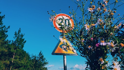A calming roadside sign reminding drivers to respect speed limits, framed by blooming plumeria.