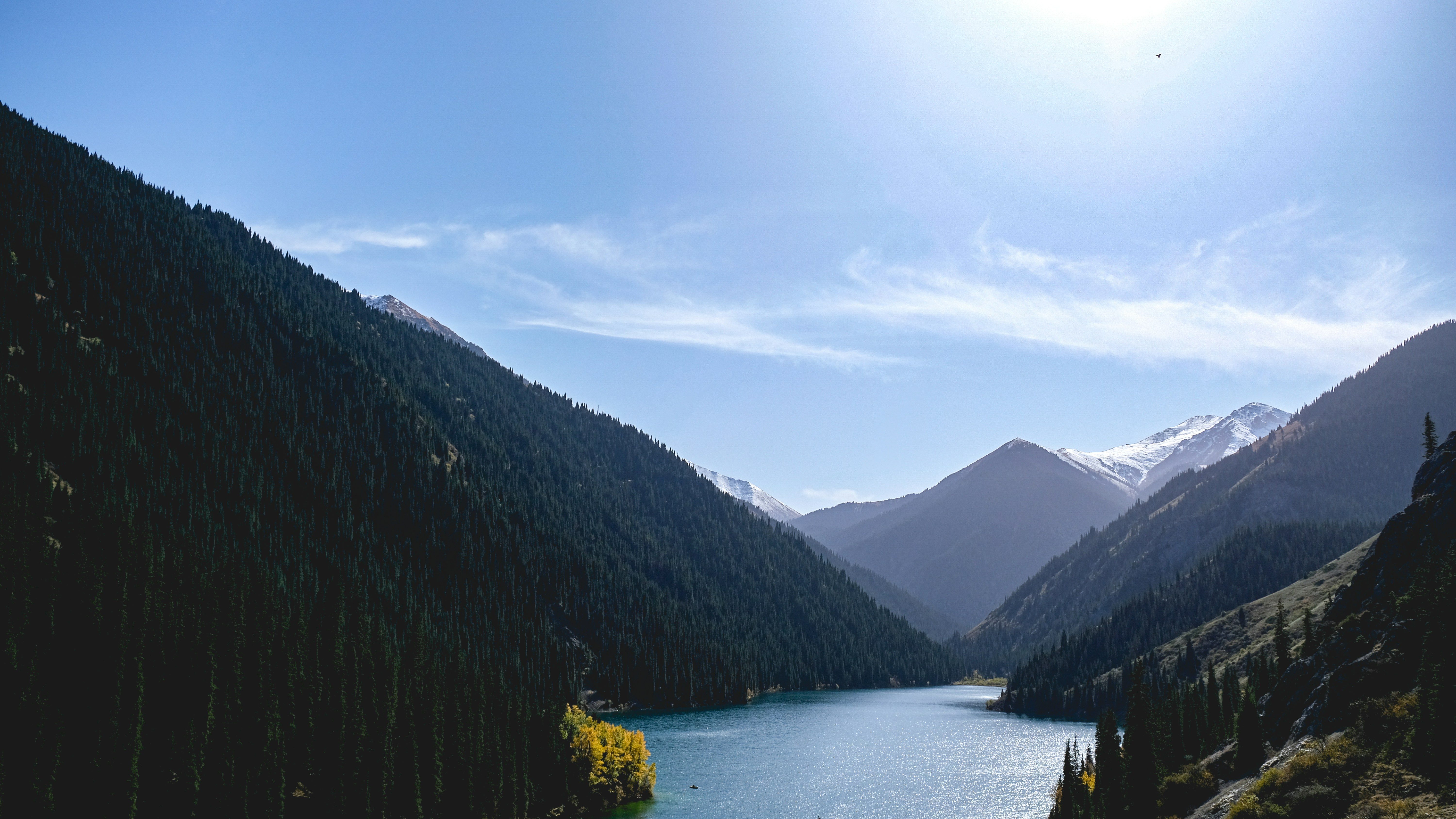 Photo by sumskoydmitry