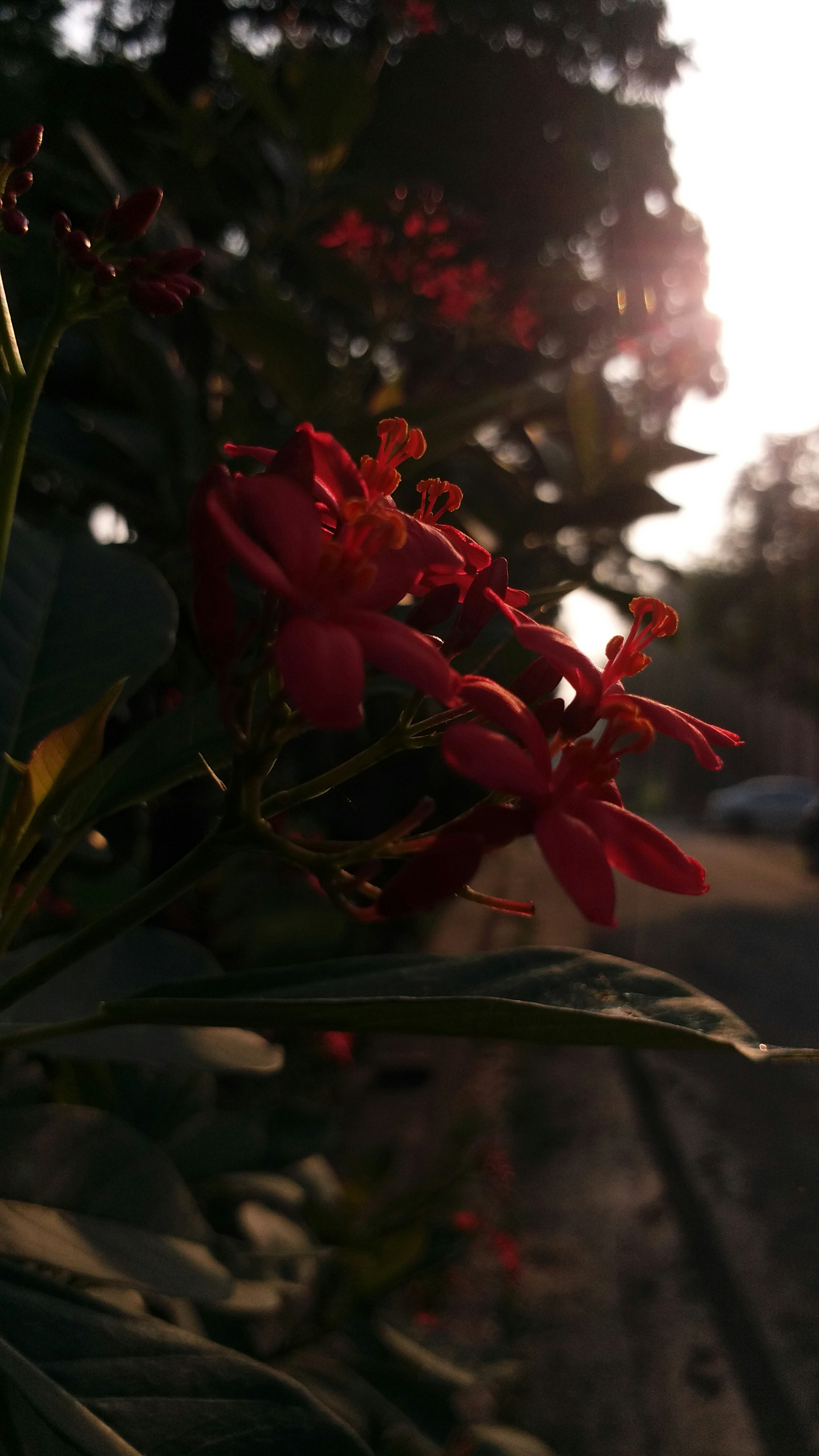 Asad Ikhlaq (@asadikhlaq) | Comunidade de fotos da Unsplash