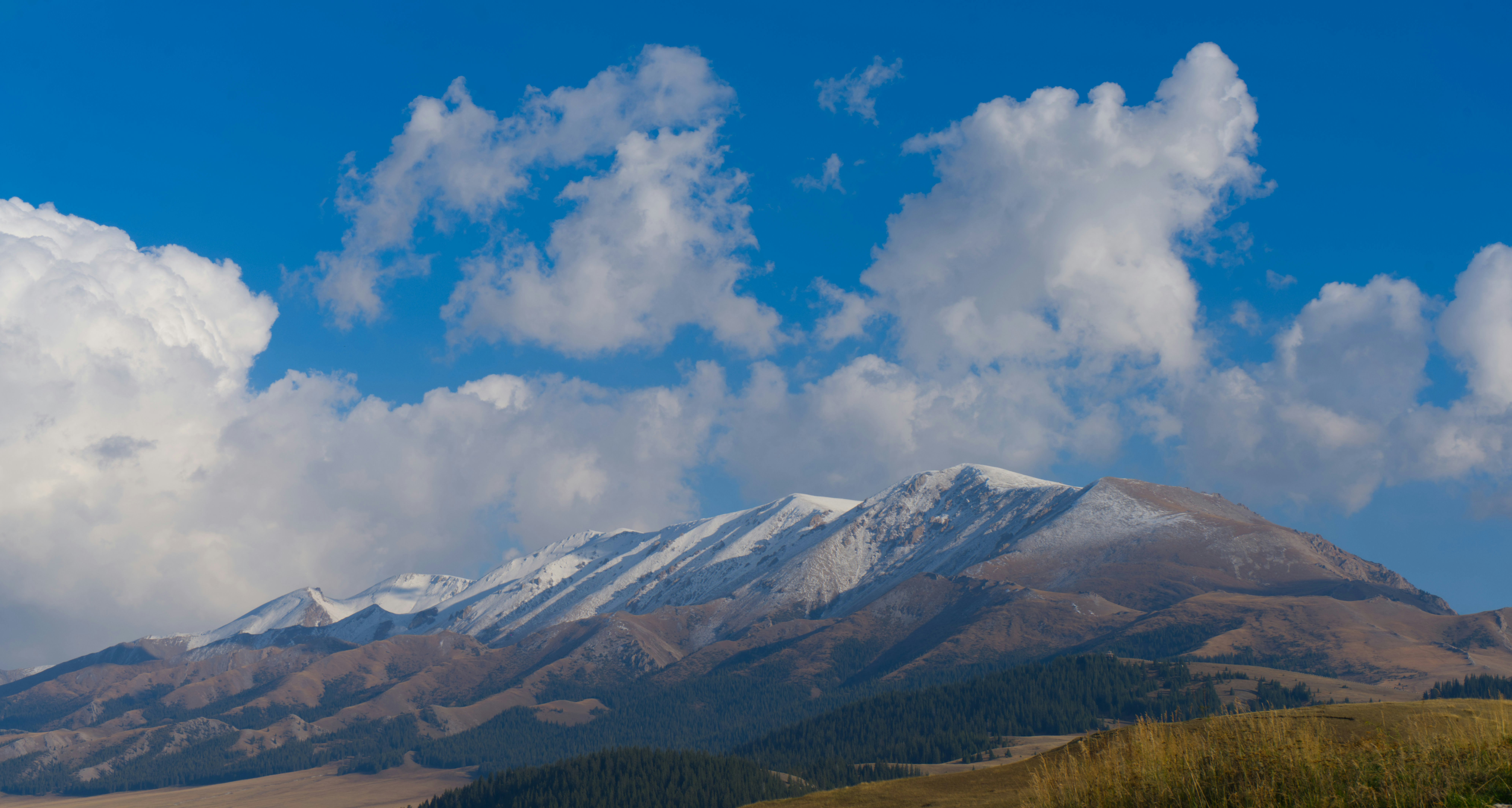 green grass and mountain