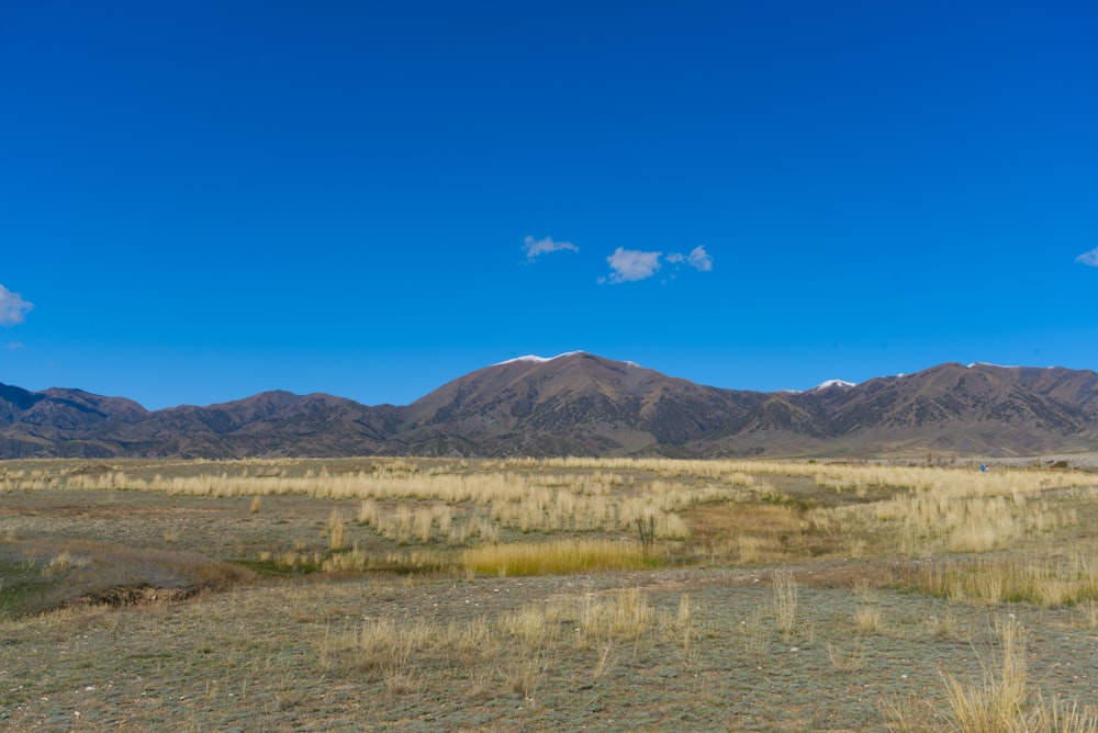 brown and black mountains under blue sky at daytime