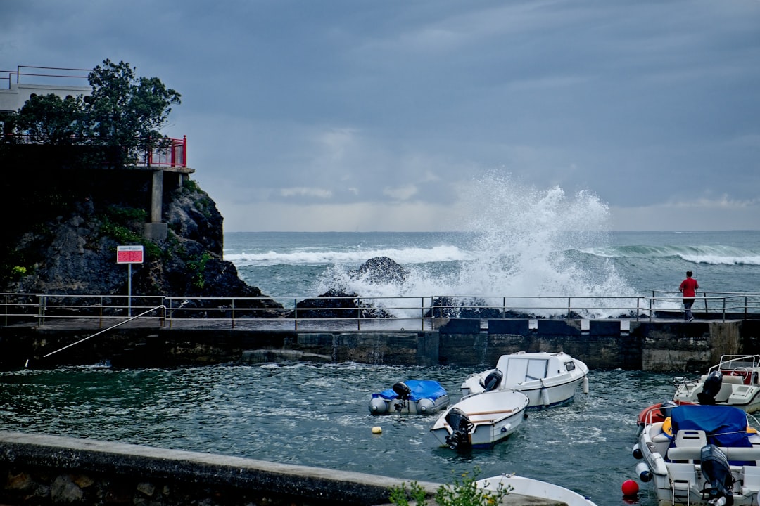 powerboat in water near dock