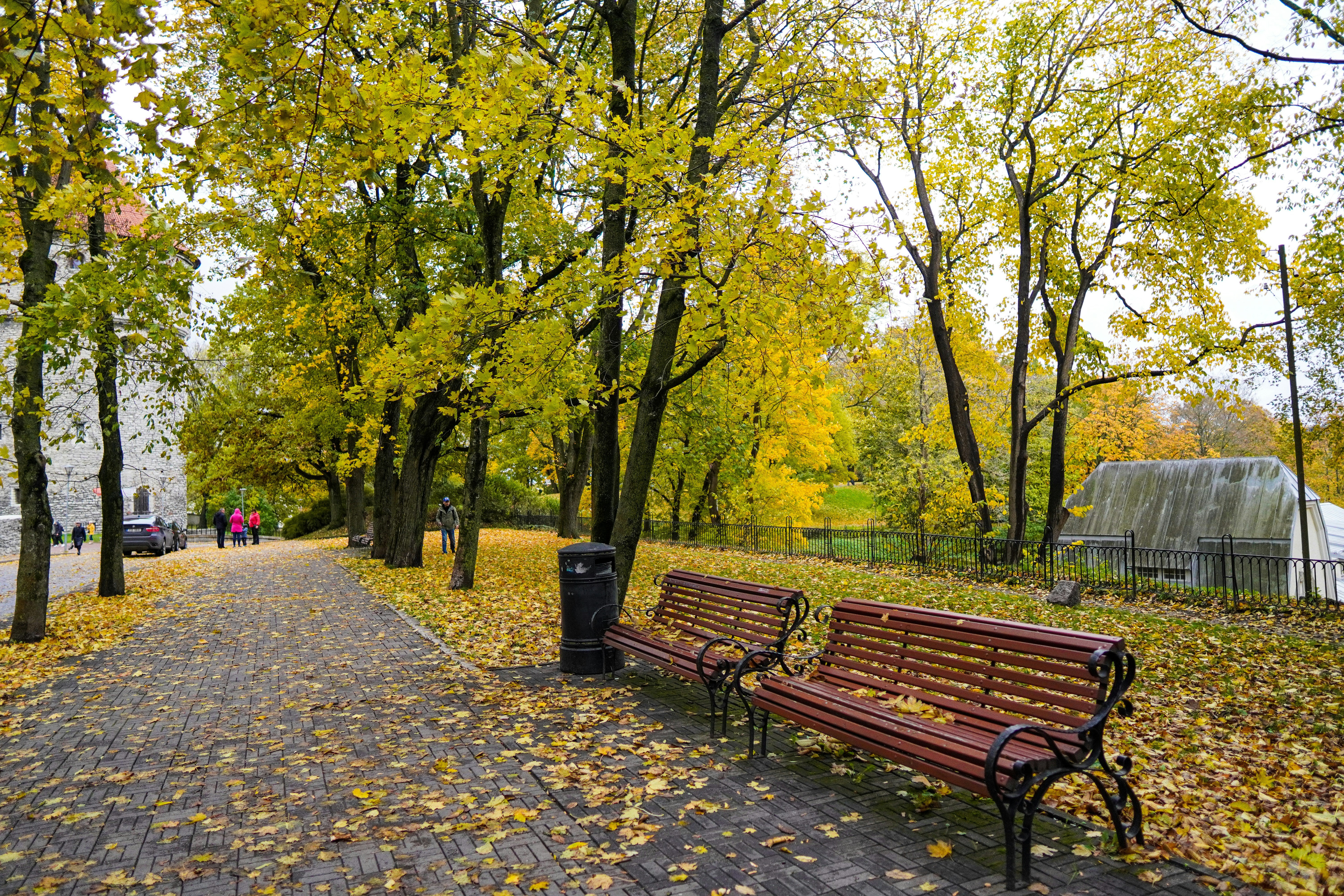 Photo by ilja_nedilko