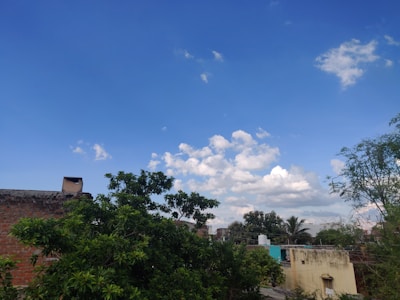 A lush green residential plot with clear blue skies in Faridabad.