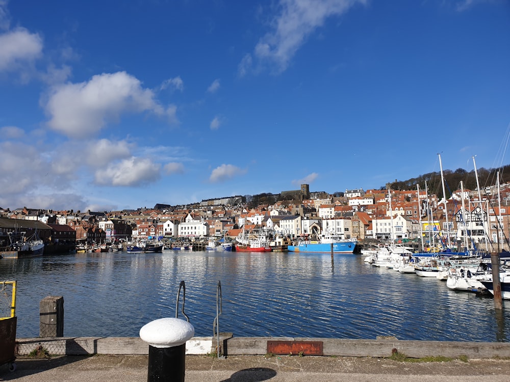 boats on body of water beside town buildings