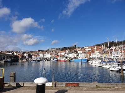 boats on body of water beside town buildings