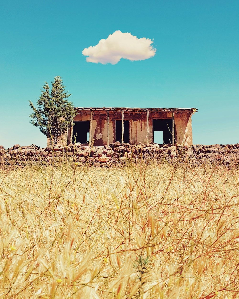 brown concrete house and brown grass field