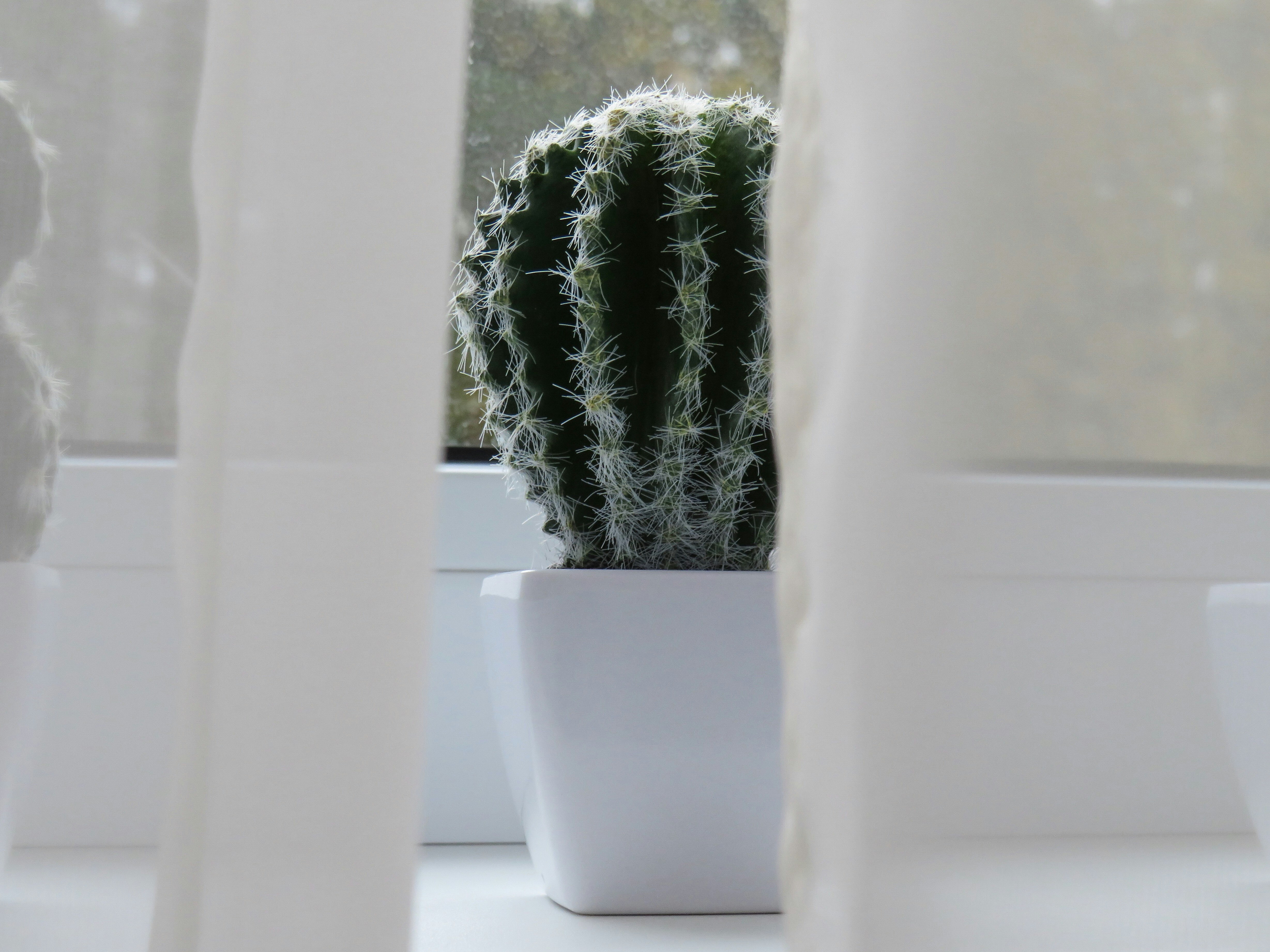 Artificial Plants and Flowers