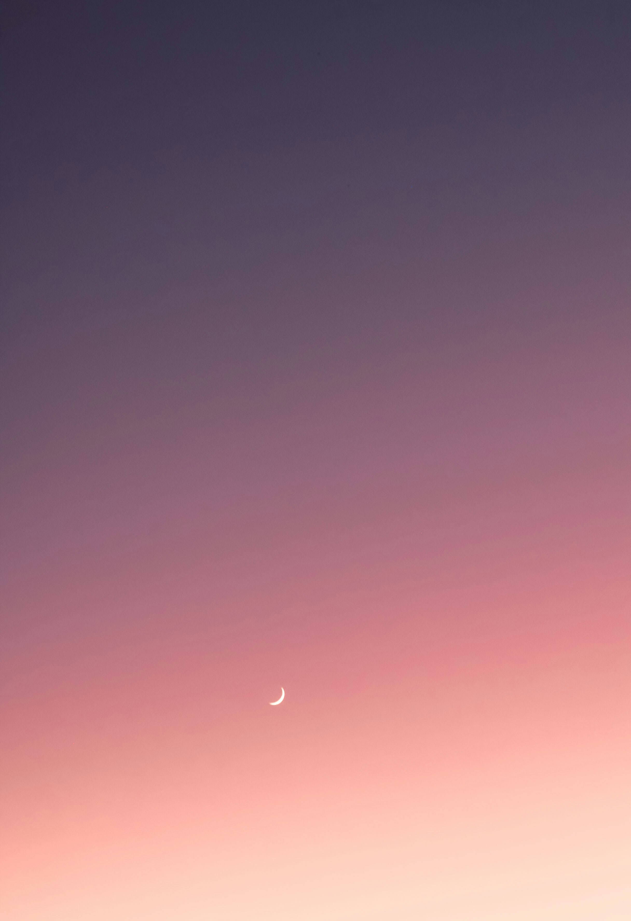 Photo by chelseaaudibert