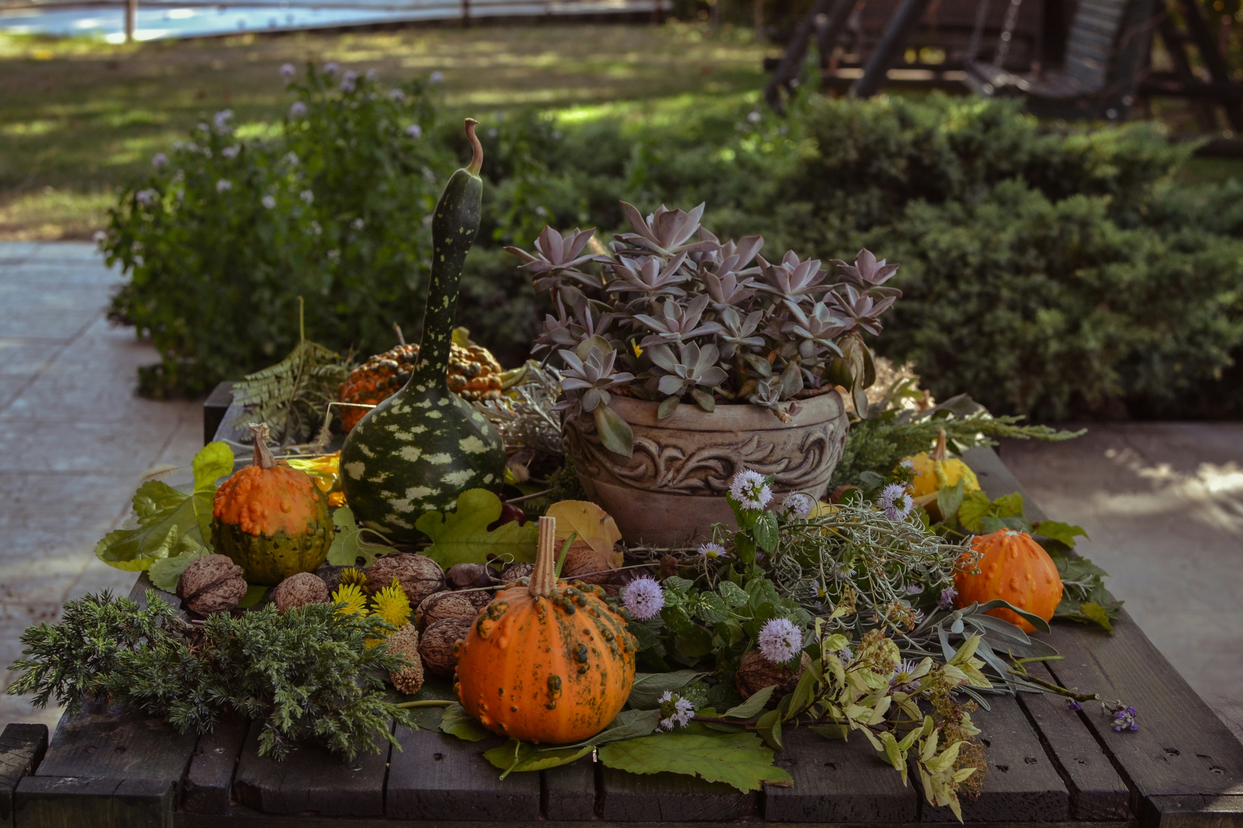 7 Harvest-Themed Fall Lakehouse Tablescape Inspirations