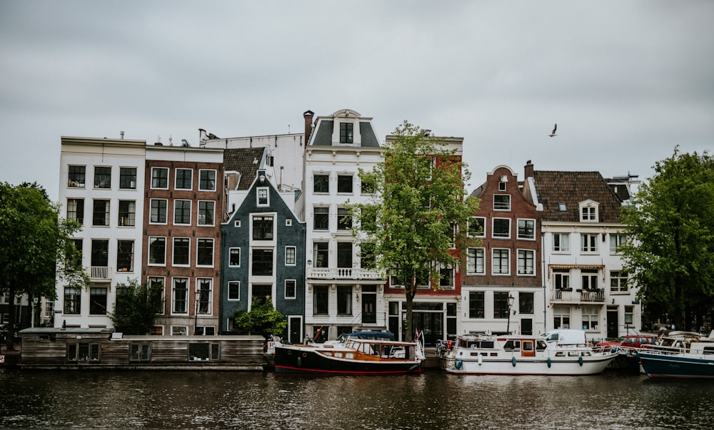 white and brown houses