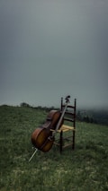 brown and black string instrument