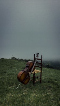brown and black string instrument