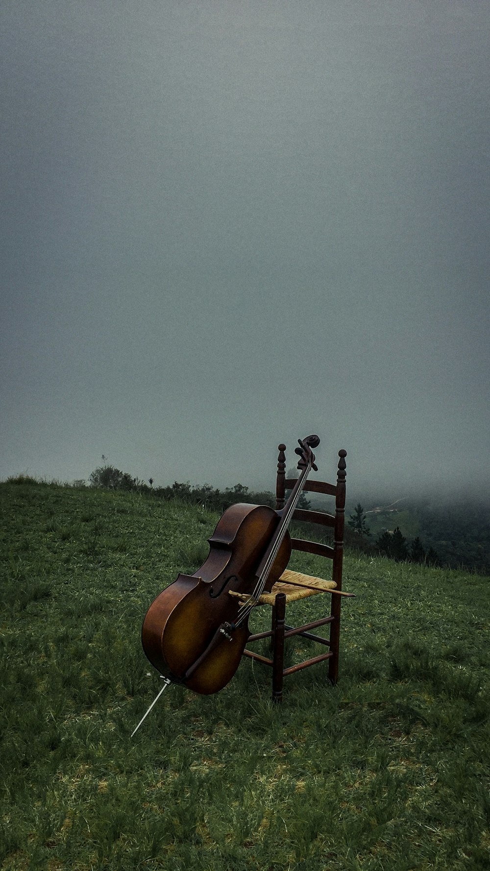 instrument à cordes marron et noir