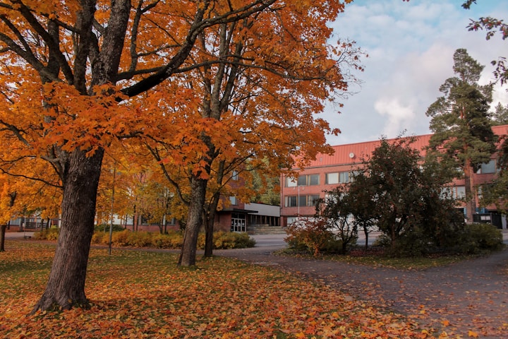 Wittenberg University