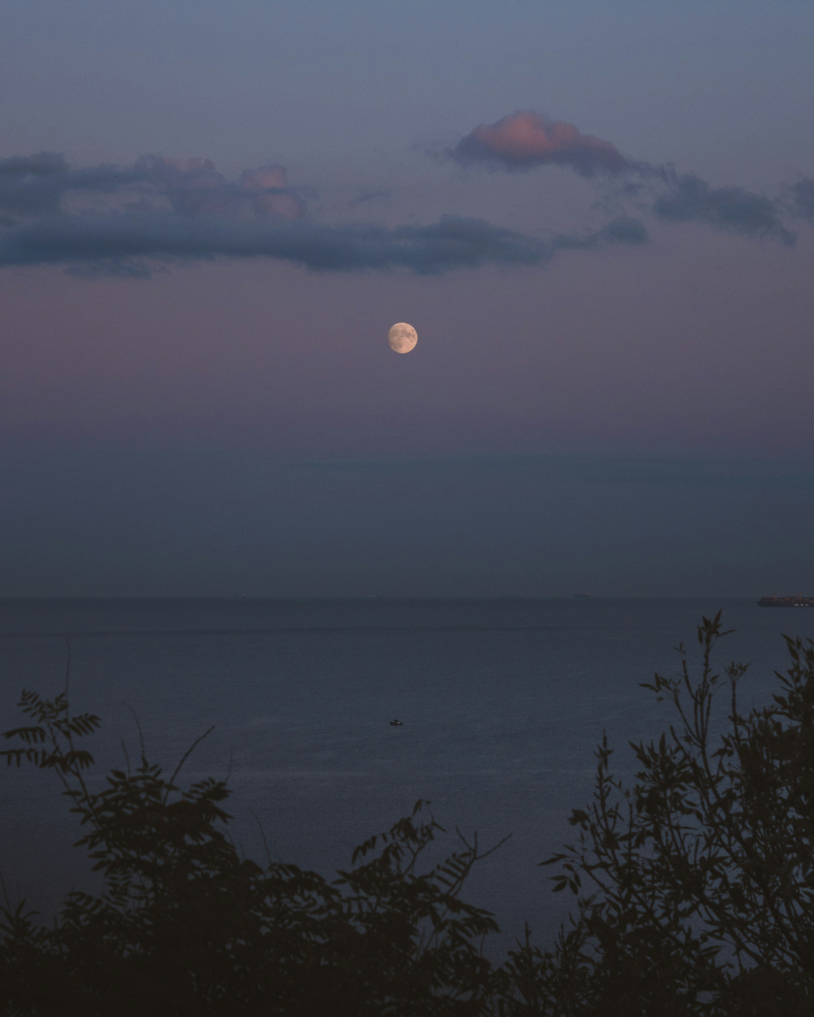 Photo by thewayofcolor