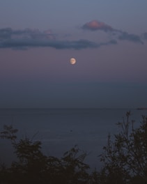 A serene landscape showing the moon phases over a calm sea.