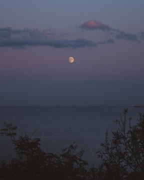A serene landscape showing the moon phases over a calm sea.