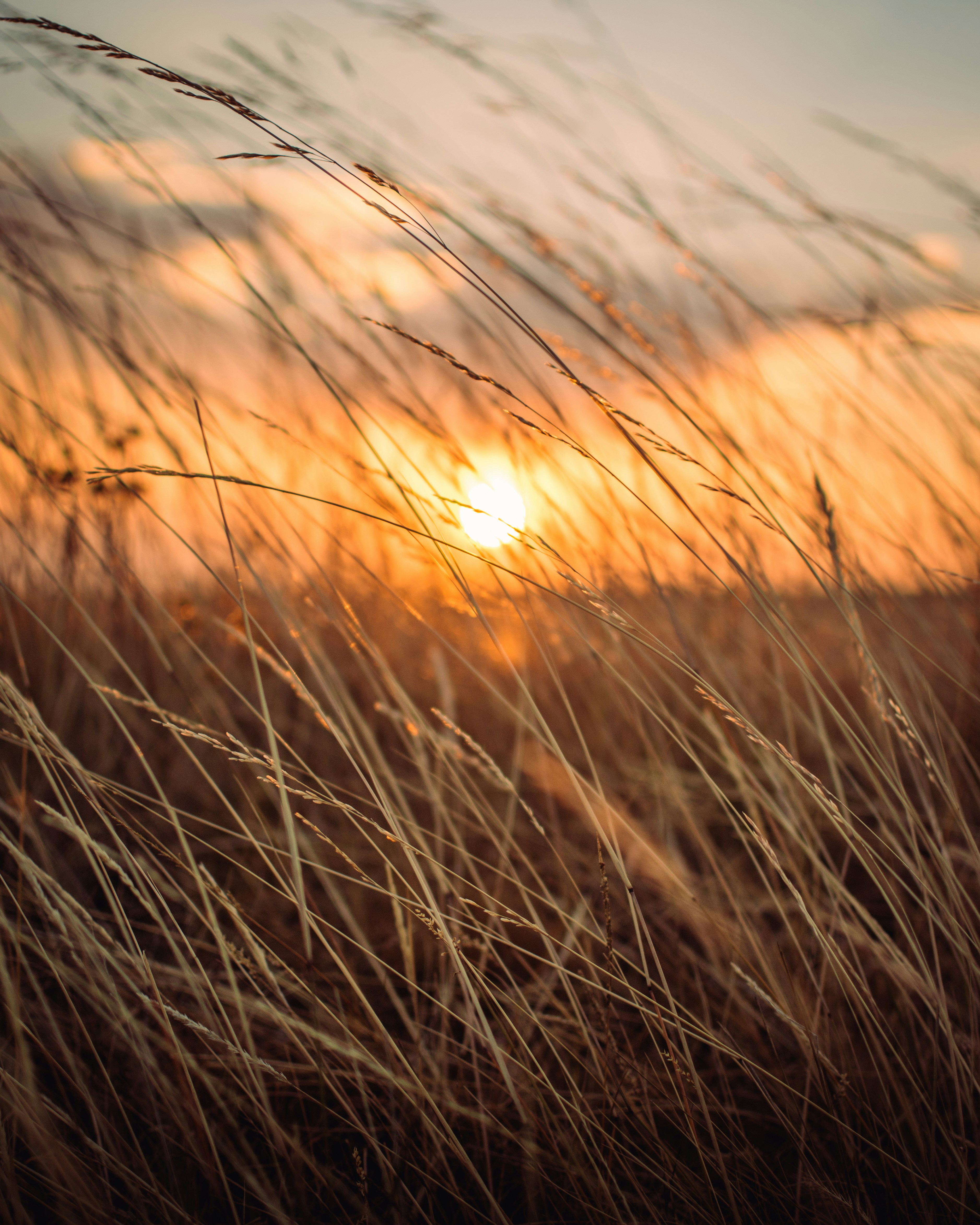 Photo by daijiumemoto