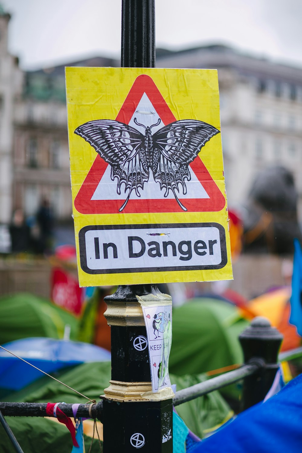 yellow and red moth butterfly in danger board signage