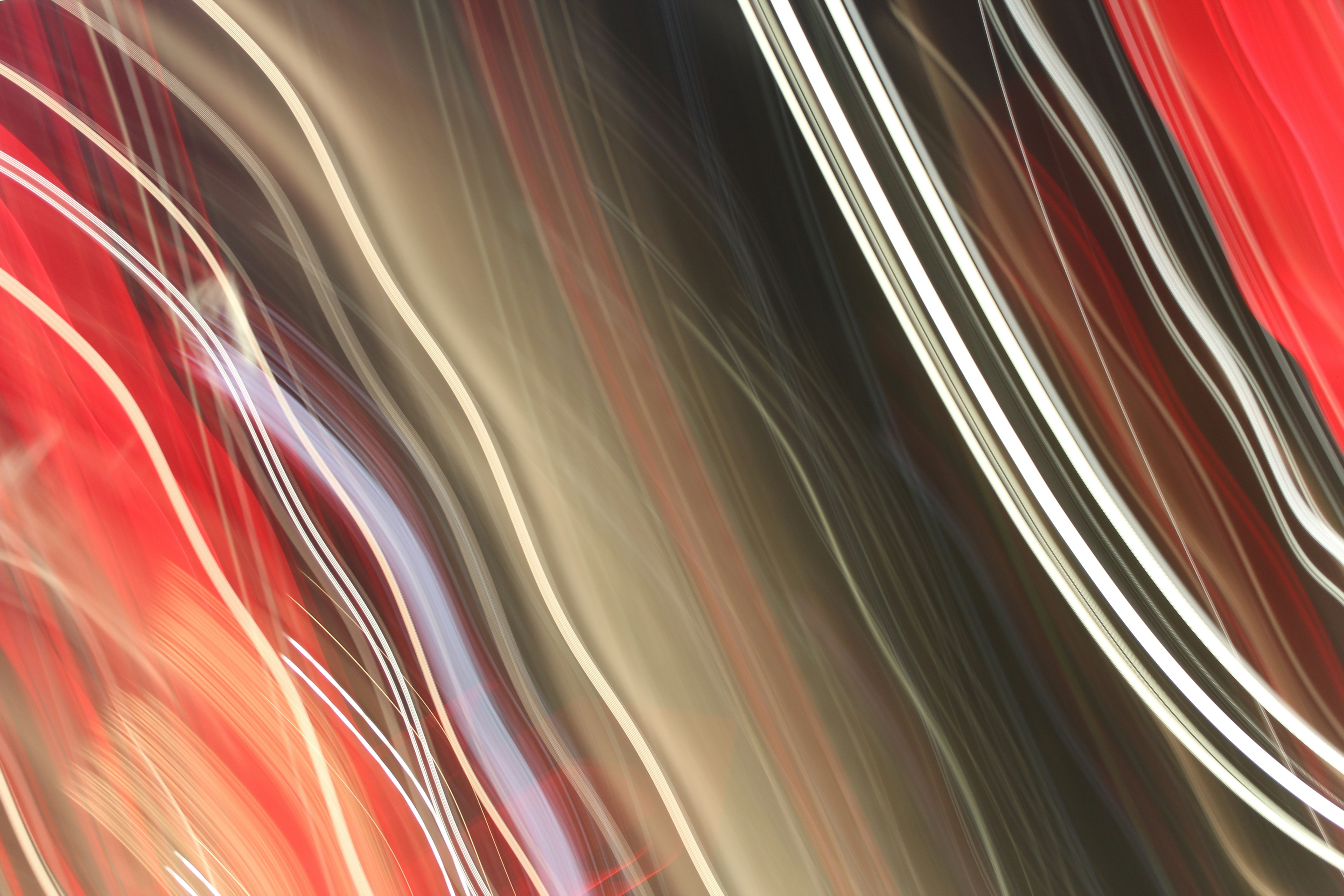 Photo by levi_midnight