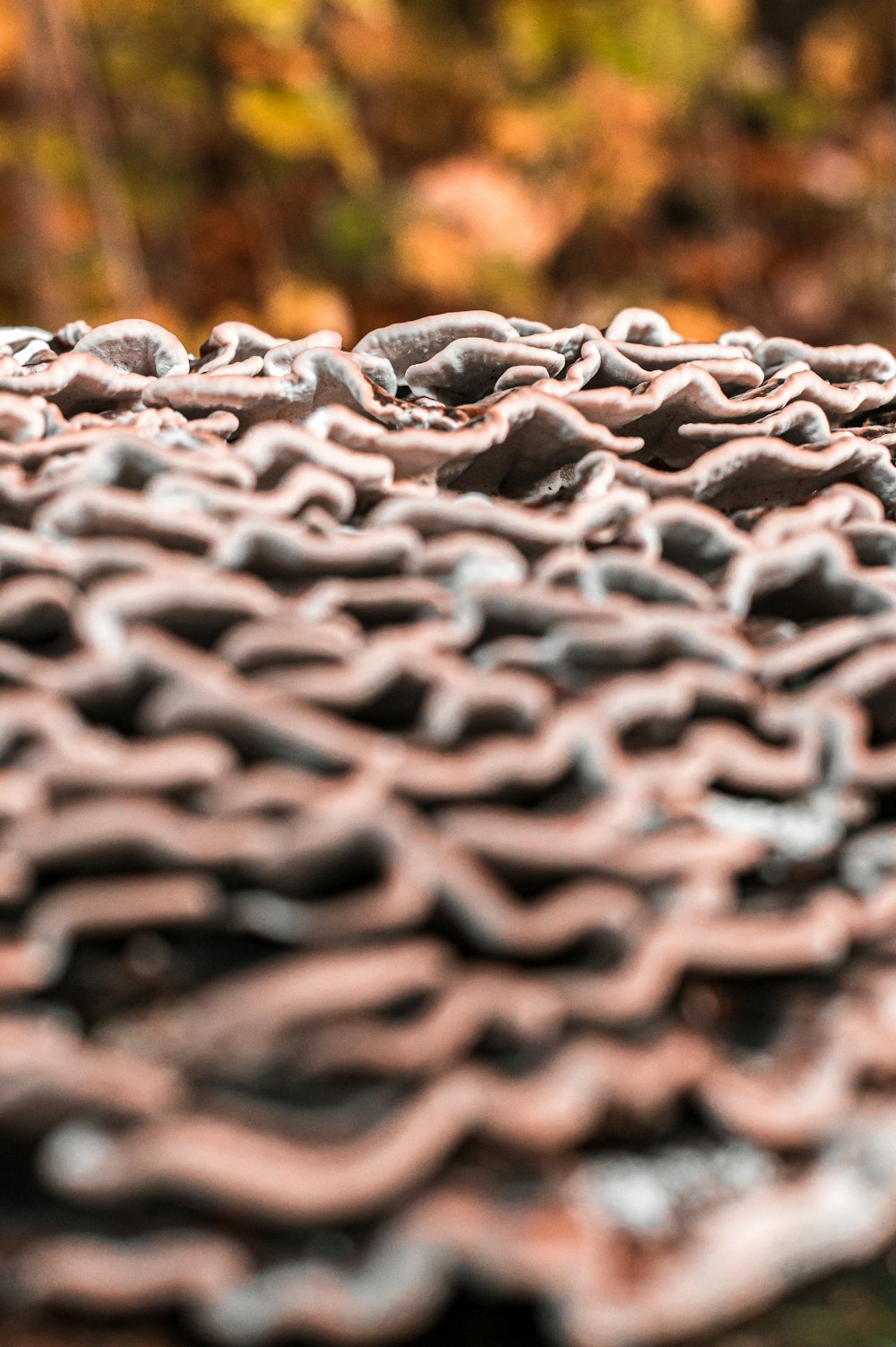 a close up of a chain on a table