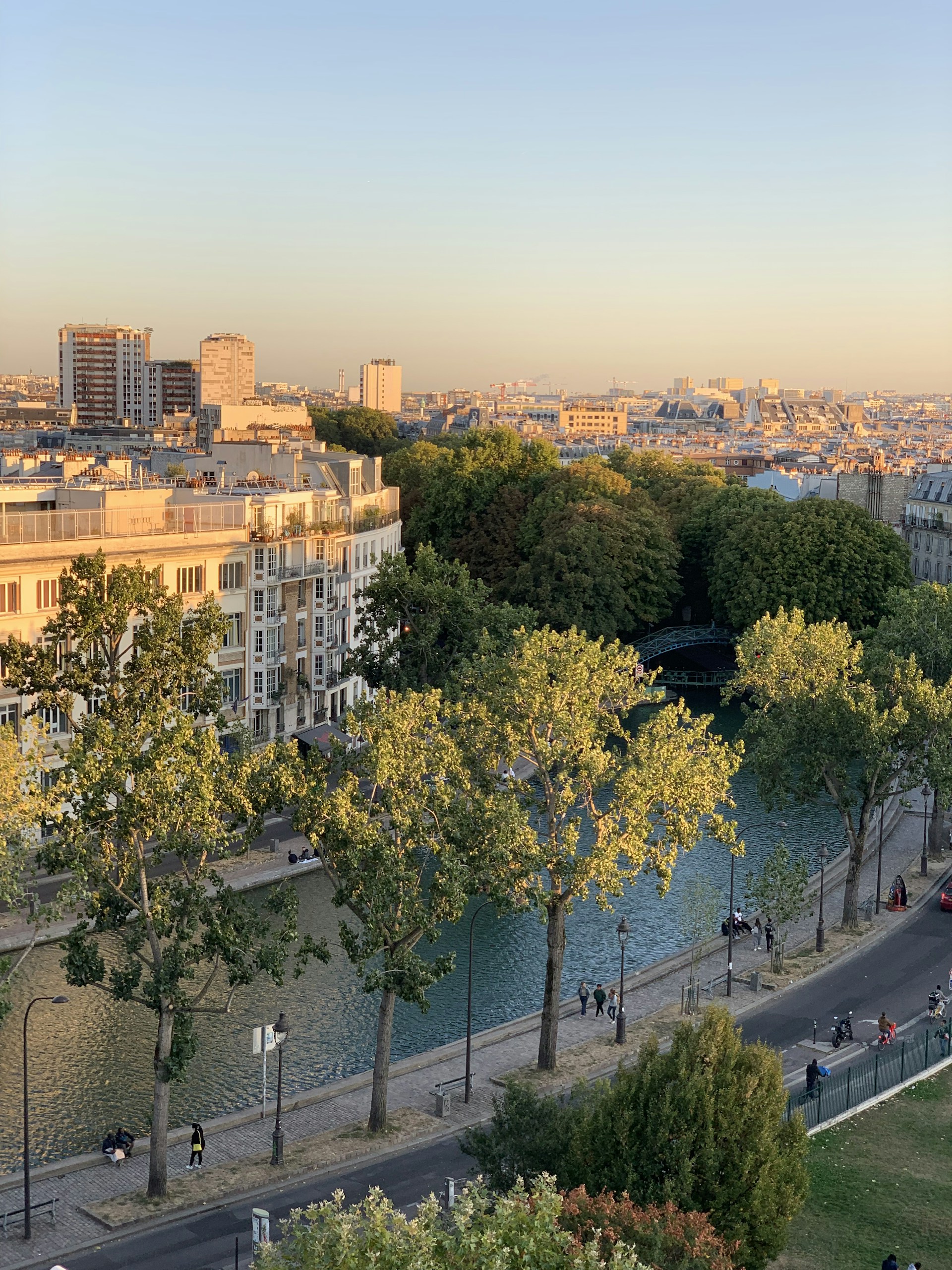 aerial photo of trees near body of water